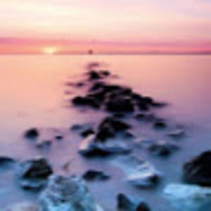 Meet your Posher, Macie